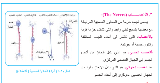 صورة الدرس 3
